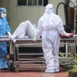 Nipah virus: Health department tightens restrictions in Kerala